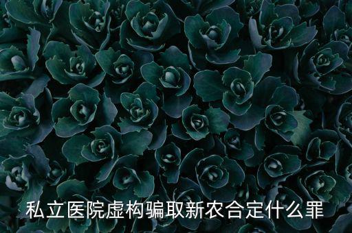私立醫(yī)院騙國(guó)家醫(yī)保上千萬(wàn)什么罪，私立醫(yī)院虛構(gòu)騙取新農(nóng)合定什么罪