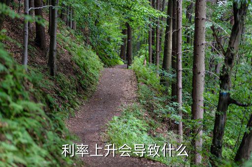 世界利率上升國(guó)內(nèi)利率有什么變化，利率上調(diào)對(duì)中國(guó)經(jīng)濟(jì)的影響