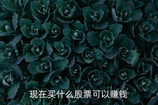 今年買什么股票可以賺錢，現(xiàn)在買什么股票可以賺錢
