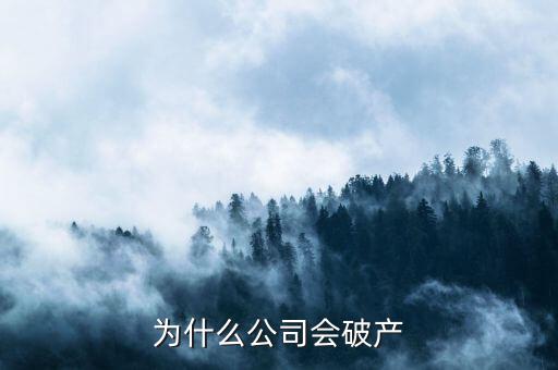 凱銀集團為什么破產(chǎn)了，公司破產(chǎn)的原因是什么