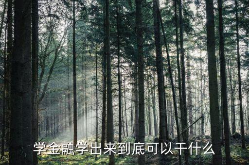 金融專業(yè)能干什么，金融專業(yè)可以做什么工作