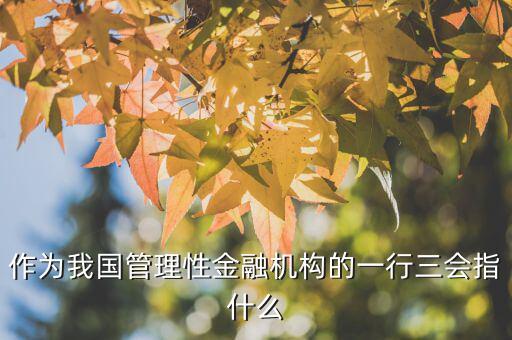 一行三會一局是指什么，作為我國管理性金融機構的一行三會指什么