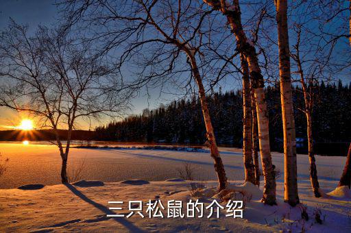 三只松鼠都做了什么，三只松鼠的銷售模式