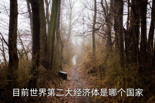 中國(guó)什么時(shí)候成為第二大經(jīng)濟(jì)體，中國(guó)成為世界第二大經(jīng)濟(jì)體是什么時(shí)候