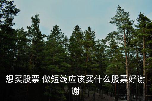 短線買什么股票好，散戶短線買哪些股票好