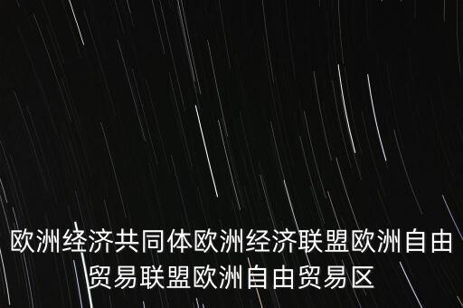 歐洲經濟共同體歐洲經濟聯(lián)盟歐洲自由貿易聯(lián)盟歐洲自由貿易區(qū)