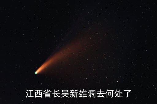 吳新雄什么時候退休，江西省長吳新雄調(diào)去何處了