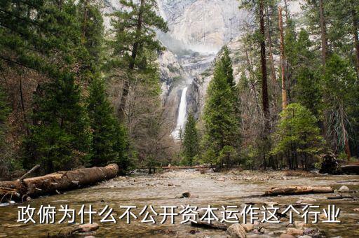 資本運(yùn)作為什么不公開，政俯為什么不公開資本運(yùn)作這個(gè)行業(yè)