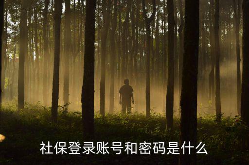 社保查詢個人賬戶密碼是什么，社保登錄賬號和密碼是什么