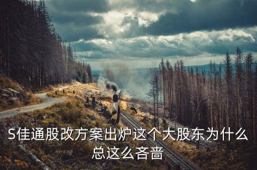 s佳通為什么不股改，s佳通的流通股這么少為什么不股改全流通