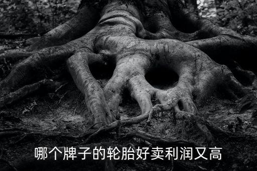 什么輪胎利潤(rùn)大，哪個(gè)牌子的輪胎好賣(mài)利潤(rùn)又高