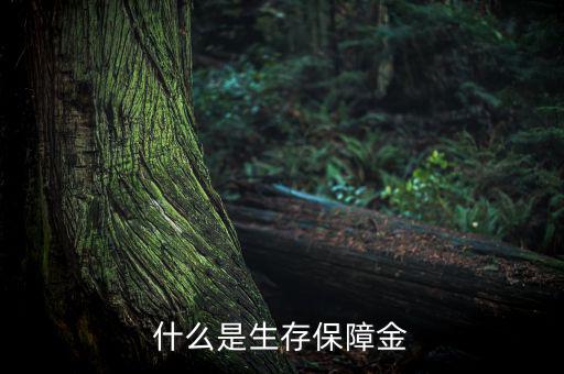 什么是生存保險金，什么是生存保障金