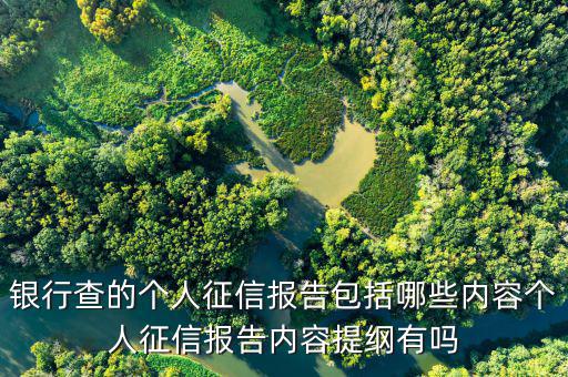個(gè)人征信查詢都查什么，個(gè)人征信擔(dān)保審查都查什么