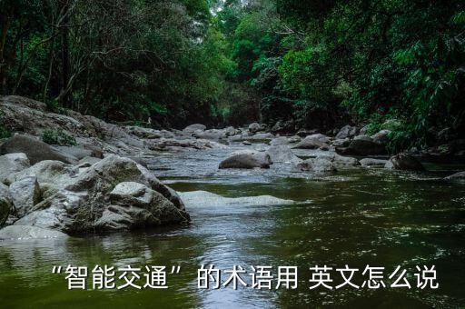 “智能交通”的術(shù)語(yǔ)用 英文怎么說