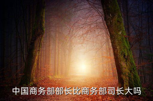 商務(wù)部部長(zhǎng)什么級(jí)別，商務(wù)部部長(zhǎng)多大的官