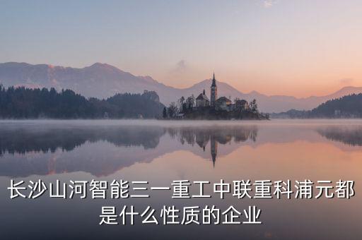 長沙山河智能三一重工中聯重科浦元都是什么性質的企業(yè)