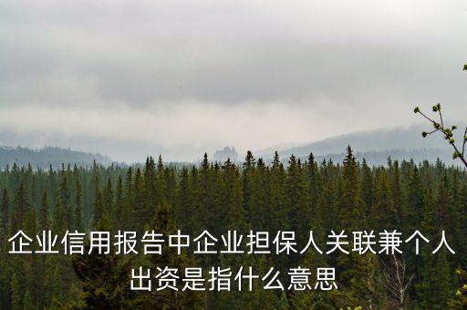 擔(dān)保人關(guān)聯(lián)是什么意思，企業(yè)征信中 擔(dān)保人關(guān)聯(lián)是什么意思