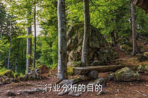 為什么要進行行業(yè)分析，為什么要進行市場分析