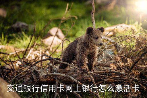 交通信用卡激活用什么手續(xù)，交通銀信用卡被注銷(xiāo)了怎么激活