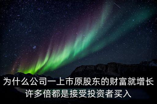 財富公司為什么這么多，為什么公司一上市原股東的財富就增長許多倍都是接受投資者買入