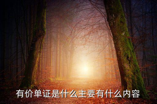 有價單證是什么主要有什么內容
