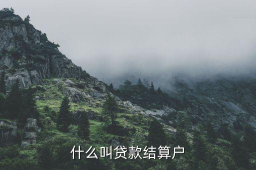 什么是有貸戶，什么叫居民戶貸款