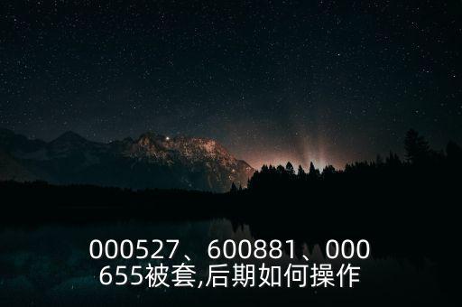 000527、600881、000655被套,后期如何操作
