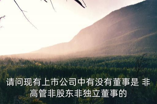 什么是非獨(dú)立董事，什么叫執(zhí)行董事非執(zhí)行董事和獨(dú)立非執(zhí)行董事