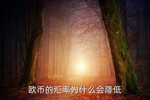 歐元為什么下跌，歐元下跌的真正原因是什么