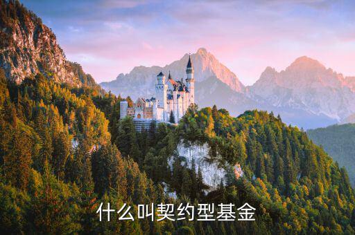 什么是合同型基金，什么叫契約型基金