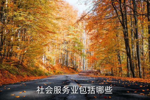 社區(qū)服務業(yè)由什么組成，社區(qū)服務包括居委會