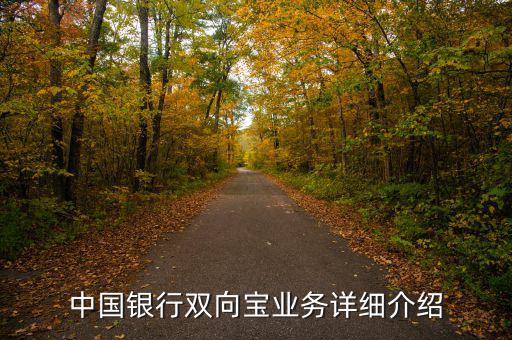 中行雙向?qū)毷鞘裁?，中國銀行雙向?qū)殬I(yè)務(wù)詳細(xì)介紹