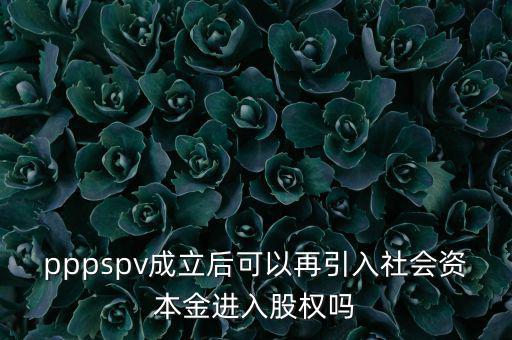 spv公司是什么意思，spv公司是獨立法人