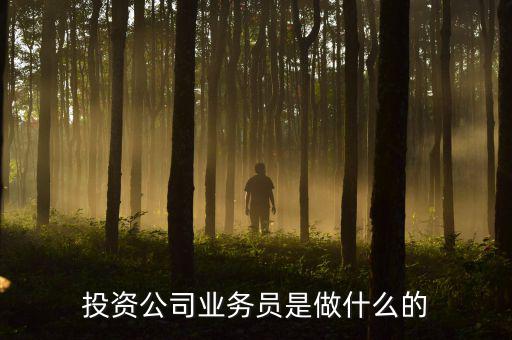 投資公司業(yè)務(wù)員是做什么的，投資公司業(yè)務(wù)員是做什么的