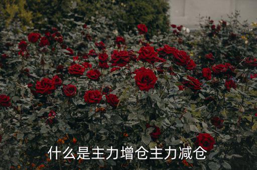 主力增減倉什么意思，什么是主力增倉主力減倉