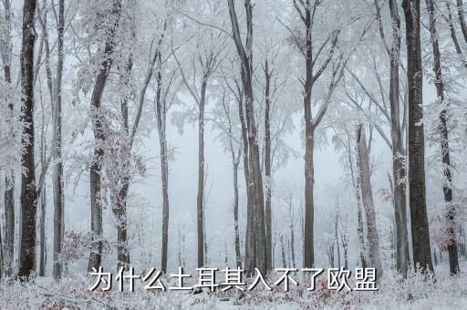 為什么土耳其無法加入歐盟，為什么土耳其入不了歐盟