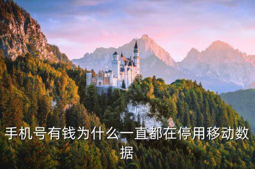 鏈動(dòng)數(shù)據(jù)為什么有錢，廣東鏈動(dòng)為什么那么多人認(rèn)同和喜歡