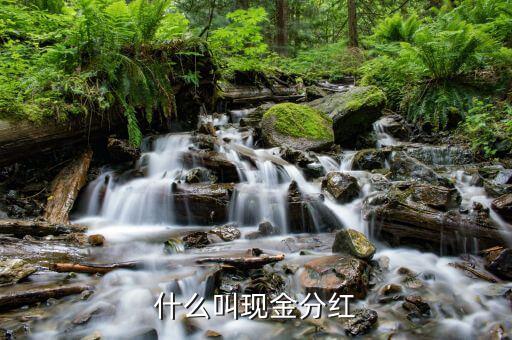 理財產(chǎn)品現(xiàn)金分紅是什么意思，現(xiàn)金分紅是什么意思