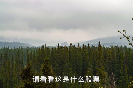 993961是什么股票，請看看這是什么股票