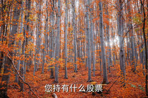 張正委持有什么的股票，香港中央代理人持有哪些股票