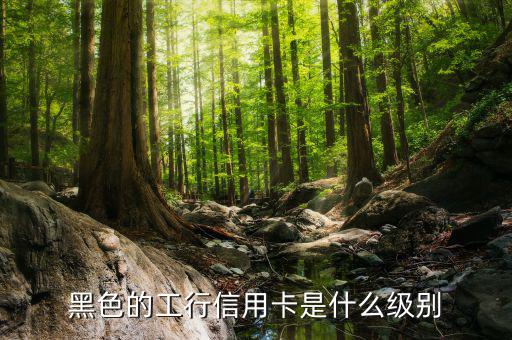 工商銀行的黑卡有什么權(quán)限，工行是不是出了一款運(yùn)通黑卡啊我想問的是想申請運(yùn)通黑卡要在當(dāng)?shù)?/></a></span><span id=