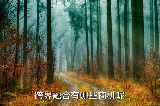 什么是跨界融合，跨界融合有哪些商機(jī)呢