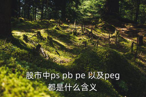 股市peg是什么意思，請問在股市里的PEG是什么意思和股價的關(guān)系怎樣多謝