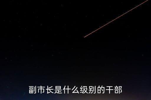 重慶市副市長是什么級(jí)別，重慶副市長是什么級(jí)別