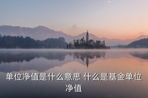 單位凈值什么意思，單位凈值是什么意思