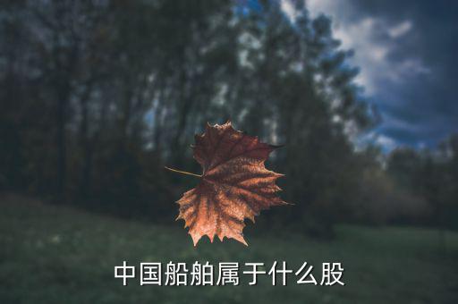 中國船舶是什么板塊，中國船舶原始股每股多少人民幣