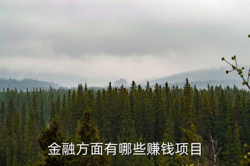 金融里什么賺錢，金融方面有哪些賺錢項(xiàng)目
