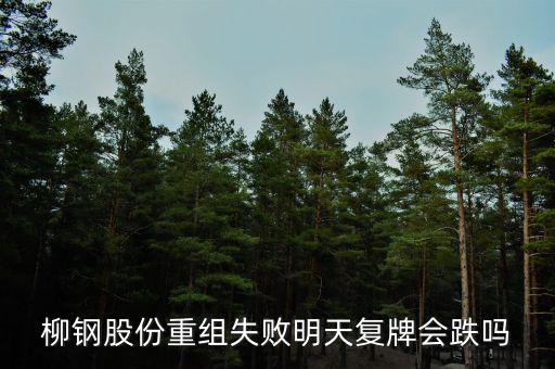 柳鋼股份什么時(shí)候復(fù)牌，柳鋼股份何時(shí)復(fù)牌 復(fù)牌后價(jià)位如果