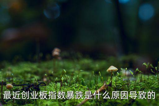 2014創(chuàng)業(yè)板指數(shù)為什么會(huì)下跌，為什么股指大幅下跌2014