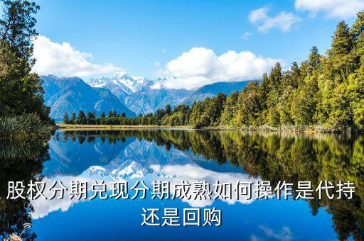什么叫股權(quán)成熟期，VCPE什么意思
